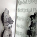 Black-White-close-up